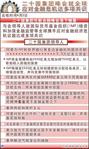 圖表:二十國集團(tuán)峰會(huì)就全球應(yīng)對(duì)金融危機(jī)達(dá)多項(xiàng)共識(shí) 新華社發(fā)
