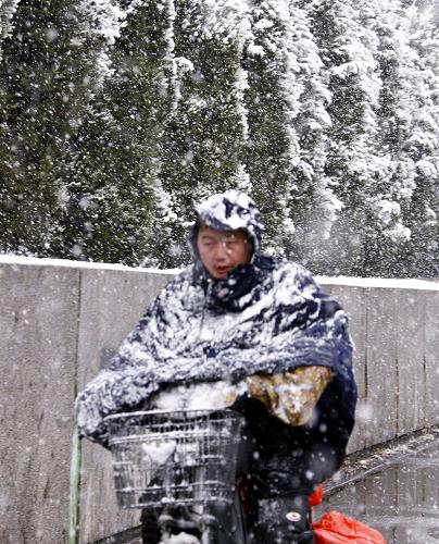 11月1日,一位北京市民在雪中騎行。 當(dāng)日凌晨,一場瑞雪降落京城,給清晨出行的人們帶來意外驚喜。 新華社記者 高學(xué)余攝