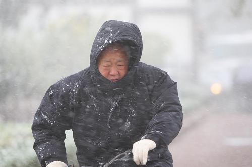11月2日,一位市民在煙臺市街頭頂風(fēng)冒雪趕路。新華社發(fā)(申吉忠 攝)