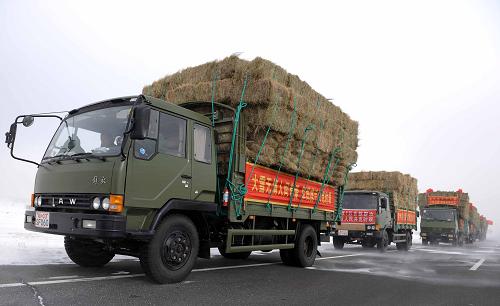 運送救災(zāi)飼草料的車隊行駛在內(nèi)蒙古105省道上(1月28日攝)。入冬以來連續(xù)發(fā)生的寒潮、暴風(fēng)雪天氣,導(dǎo)致內(nèi)蒙古自治區(qū)烏蘭察布市、錫林郭勒盟、巴彥淖爾市、赤峰市等地農(nóng)牧業(yè)遭受巨大損失。內(nèi)蒙古受災(zāi)人口達(dá)242萬人,4.3萬頭(只)牲畜死亡,超過3500萬頭(只)牲畜飼草料嚴(yán)重缺乏。 針對頻繁的暴風(fēng)雪災(zāi)害,內(nèi)蒙古自治區(qū)有關(guān)部門啟動救災(zāi)預(yù)警響應(yīng),努力做好防災(zāi)減災(zāi)和保民生工作。截至1月底,財政部、民政部緊急撥付內(nèi)蒙古自然災(zāi)害生活補助資金1800萬元,80000件棉衣陸續(xù)發(fā)放到受災(zāi)群眾手中,農(nóng)業(yè)部協(xié)調(diào)周邊地區(qū)向內(nèi)蒙古緊急調(diào)運飼草5萬噸用于災(zāi)區(qū)牲畜過冬儲備。內(nèi)蒙古自治區(qū)政府已累計下?lián)?.36億元冬春救助資金,受災(zāi)四個盟市已經(jīng)發(fā)放救災(zāi)口糧6萬多公斤,確保冬春期間災(zāi)區(qū)生產(chǎn)、生活穩(wěn)定。新華社記者 張領(lǐng) 攝
