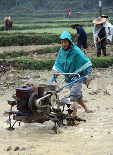 3月30日,廣西羅城縣懷群鎮(zhèn)劍江村農(nóng)民冒雨耙田,為育秧做準(zhǔn)備。受冷空氣的影響,廣西羅城縣境內(nèi)當(dāng)日普遍降雨,不少農(nóng)民抓緊時(shí)機(jī)下田搶種,力爭把損失降到最低。新華社發(fā)(吳耀榮 攝)