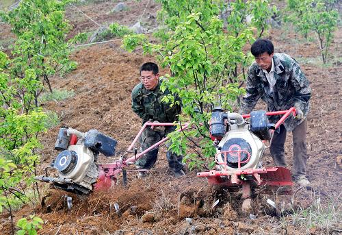 4月15日,普安縣白沙鄉(xiāng)黨員機(jī)耕隊(duì)隊(duì)員袁甦(左)與袁明友在為村民機(jī)耕土地,準(zhǔn)備種花生。近日,貴州省重旱區(qū)黔西南州普安縣政府無償支持10臺(tái)機(jī)耕機(jī),在普安縣白沙鄉(xiāng)成立黨員機(jī)耕隊(duì),義務(wù)幫助群眾開展春耕生產(chǎn)。黨員機(jī)耕隊(duì)由10名共產(chǎn)黨員志愿組成,目前已為白沙鄉(xiāng)村民機(jī)耕土地150多畝,幫助村民搶種花生等經(jīng)濟(jì)作物,彌補(bǔ)旱災(zāi)帶來的損失。新華社記者 黃勇 攝