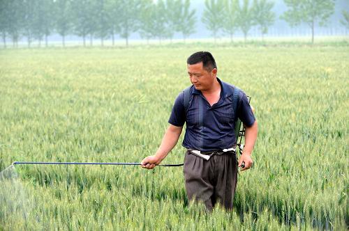 5月27日,植保專業(yè)合作社社員田衛(wèi)國(guó)正在滅蟲(chóng)。新華社記者 范長(zhǎng)國(guó) 攝