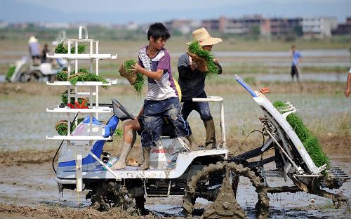 7月16日,丁湖村受災(zāi)村民在給插秧機(jī)裝上晚稻秧苗。當(dāng)日,天氣晴好,江西省撫州市農(nóng)機(jī)局組織41臺(tái)插秧機(jī),免費(fèi)為撫州唱?jiǎng)P堤決口受淹的羅針鎮(zhèn)丁湖村受災(zāi)農(nóng)戶(hù)插種二季晚稻,力爭(zhēng)實(shí)現(xiàn)早稻損失晚稻補(bǔ)。預(yù)計(jì)當(dāng)日將機(jī)插1000畝農(nóng)田。新華社記者 周科 攝