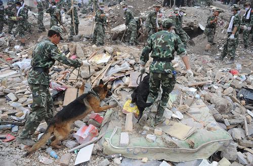 8月11日清晨,武警官后在現(xiàn)場帶領(lǐng)警犬在現(xiàn)場搜索生命跡象,期盼奇跡發(fā)生。新華社記者 陶明 攝