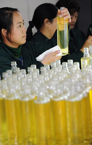 安徽大別山科技開發(fā)公司的工人在查驗(yàn)灌裝好的油茶籽油(11月3日攝)。新華社記者 李健 攝