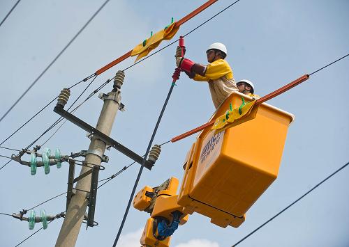 8月31日,湖州電力局施工人員在帶電的情況下將10千伏高壓線連上電纜,準(zhǔn)備將電網(wǎng)負(fù)荷引入移動箱式變壓器車。新華社記者 徐昱 攝