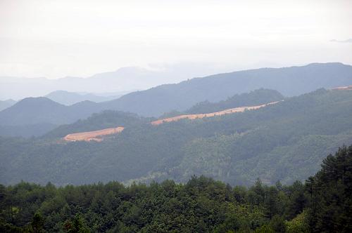 在龍泉市道太鄉(xiāng)一山頂向遠處眺望,對面那座山頭上像“白云”狀的一道光禿禿的山嶺,就是當?shù)卣略斓?#8220;耕地”(8月7日攝)。最近有群眾舉報反映,浙江龍泉市出現(xiàn)“農(nóng)保田”造在高山頂上的怪事。這些新開發(fā)的“耕地”不僅破壞山林生態(tài),而且無法種植莊稼,留下了一片片光山頭。目前,這樣的開發(fā)還在繼續(xù)。新華社記者 謝云挺 攝