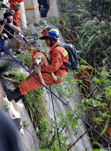 10月25日,搜救人員帶上搜救犬進行搜救。當日,200多名臺灣陸海空搜救人員持續(xù)在蘇花公路和附近海域、空域進行全方位搜尋,陸上、海上、海面下和空中搜尋同步展開。由于24日蘇花公路114.5公里下邊坡處陸續(xù)發(fā)現(xiàn)部分游覽車殘骸,搜救人員懷疑人車可能翻覆在當?shù)鼗虻袈涞礁浇V?。臺方投入更多水下作業(yè)人員進行搜尋。新華社記者 何俊昌 攝