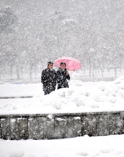 11月13日,長春市兩位市民冒雪出行。從11月12日夜開始,吉林省出現(xiàn)暴雪天氣,各地公路交通受到嚴(yán)重影響,部分高速公路臨時關(guān)閉,大量長途客運(yùn)汽車停運(yùn),長春龍嘉國際機(jī)場也已關(guān)閉。長春市公安局交警支隊(duì)啟動惡劣天氣紅色應(yīng)急預(yù)案,全體外勤人員上崗指揮交通。新華社記者 齊海山 攝