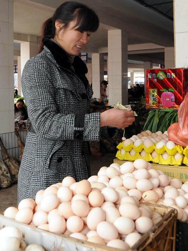 1月30日,一名婦女在威寧縣城北農(nóng)貿(mào)市場內(nèi)購買雞蛋。遭受低溫凝凍天氣影響長達(dá)20多天的貴州省威寧縣雖然受災(zāi)嚴(yán)重,但當(dāng)?shù)馗骷?jí)政府部門采取保暢通、保供應(yīng)等有效措施,緊急調(diào)撥物資累計(jì)6萬多噸,儲(chǔ)備大量豬肉、大米、食用油等保障物資,全縣年貨市場供應(yīng)充足。新華社記者 李勁峰 攝