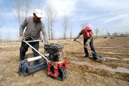 4月12日,甘肅省高臺(tái)縣駱駝城鄉(xiāng)新聯(lián)村的村民在使用中耕機(jī)松土鋪膜。隨著天氣轉(zhuǎn)暖,甘肅河西走廊各市掀起春耕生產(chǎn)熱潮。國家農(nóng)機(jī)補(bǔ)貼政策和甘肅省全膜雙壟溝播技術(shù)的推廣讓農(nóng)機(jī)鋪地膜已經(jīng)成為甘肅河西地區(qū)春耕主要方式。新華社記者 高健鈞 攝