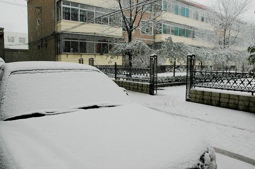 11月29日,山西忻州市街頭銀裝素裹。當(dāng)日凌晨,山西忻州市迎來2011年入冬以來的第一場雪。整個忻州市區(qū)被大雪籠罩,一片銀妝素裹的世界。新華社發(fā)(梁春霞 攝)