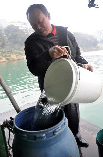 1月30日,在廣西柳州市壺西大橋下,一名船民將挑回來的自來水倒入水缸里。據(jù)處置龍江河突發(fā)環(huán)境事件指揮部向記者介紹,目前在柳州市區(qū)上游57公里的柳城縣糯米灘水電站以上的龍江河段,目前有鎘濃度超標5倍以上的水體長達100公里,目前柳州水源地的情況尚在控制范圍內(nèi)。新華社記者 陸波岸 攝
