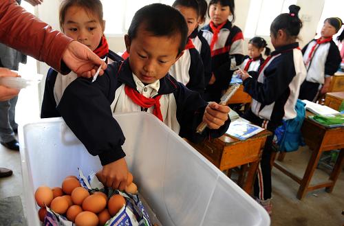 4月6日,在金寨縣馬店小學(xué),學(xué)生在課間領(lǐng)取牛奶、雞蛋等食品。自2012年春季學(xué)期起,安徽省金寨、臨泉、阜南、宿松等12個(gè)縣的近140萬(wàn)名農(nóng)村義務(wù)教育學(xué)生開(kāi)始享受?chē)?guó)家實(shí)施的營(yíng)養(yǎng)改善計(jì)劃試點(diǎn)待遇。由于部分農(nóng)村學(xué)校沒(méi)有食堂或食堂現(xiàn)有供餐能力不足,多數(shù)學(xué)校選擇以提供蛋、奶、水果等作為加餐或課間餐。新華社記者 劉軍喜 攝