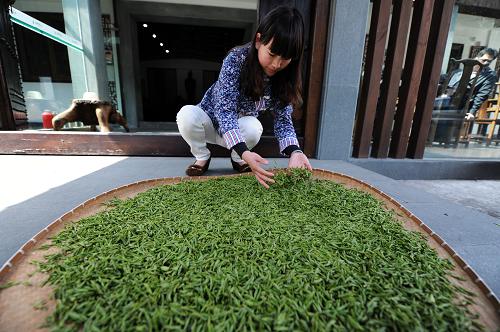 杭州一茶廠的一位采茶工在整理采收的龍井茶新葉(2012年3月28日攝)。1月25日,記者從浙江省“兩會(huì)”了解到,2012年浙江全省生產(chǎn)總值為34606億元,自2007年以來(lái)的五年間年均增長(zhǎng)9.6%,人均生產(chǎn)總值為63266元,首次突破1萬(wàn)美元。新華社記者 鞠煥宗 攝