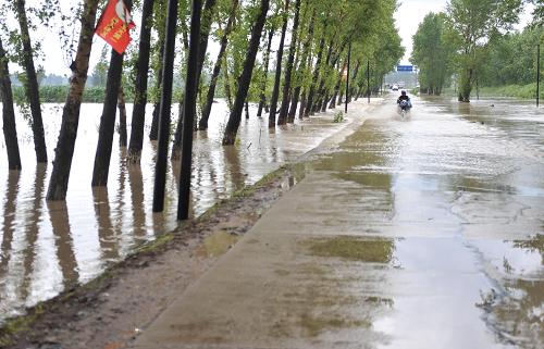 這是7月3日拍攝的吉林省榆樹市土橋鎮(zhèn)受連陰雨天氣影響被阻斷的鄉(xiāng)路。新華社記者 王昊飛 攝