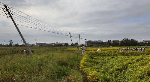 浙江金華供電公司職工在浙江省溫州市蒼南縣藻溪鎮(zhèn)元甸村維修受損的電力設(shè)施(10月9日攝)。近日,受強(qiáng)臺(tái)風(fēng)“菲特”影響,浙江多地供電線路受損,用戶(hù)停電。經(jīng)電力部門(mén)全力搶修,截至10月10日16時(shí),浙江50.09萬(wàn)用戶(hù)恢復(fù)供電,目前,搶修工作仍在進(jìn)行中。新華社發(fā)(王平 攝)