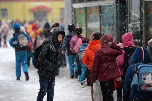 11月7日,在黑龍江東北部的綏濱縣,小學(xué)生們冒雪上學(xué)。新華社記者 王凱 攝