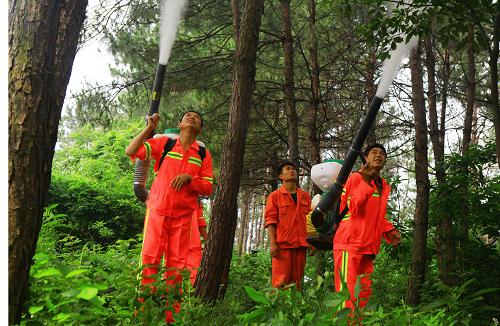 6月3日,工作人員在江西廬山林區(qū)噴灑藥粉。新華社發(fā)(張海巖 攝)