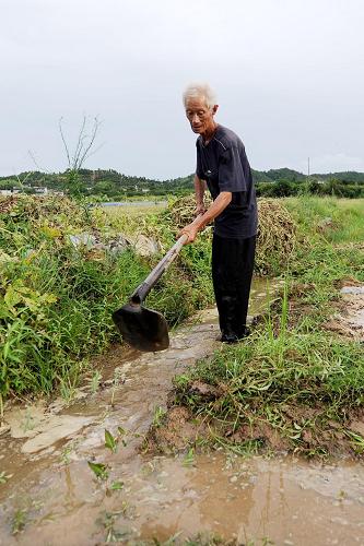 8月14日,南豐縣白舍鎮(zhèn)河?xùn)|村68歲的村民徐清文在引水抗旱。新華社記者 周科 攝