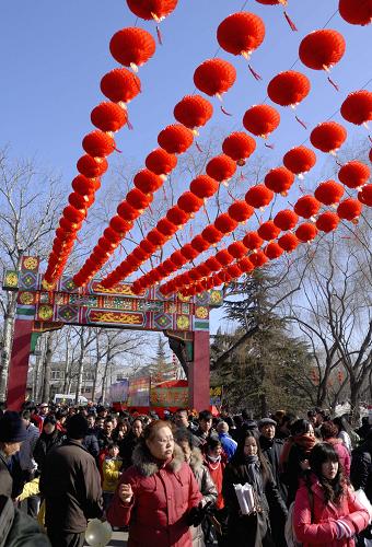 2月15日,北京龍?zhí)稄R會上游人如潮。 大年初二,北京各大公園舉辦的新春廟會活動迎來眾多游人。新華社發(fā)(王懷貴 攝)