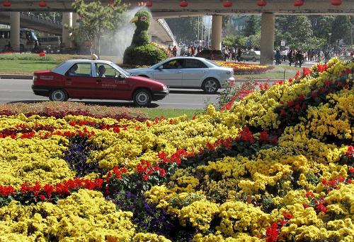 10月3日,在鄭州街頭,過往車輛從道路兩側(cè)的“孔雀”花壇間穿過。 國慶長假期間,在河南省鄭州市的休閑廣場、街心花園和道路兩旁,由500萬盆各色鮮花組成的花壇、花廊、花圃,猶如一幅幅優(yōu)美、和諧的立體風景畫,扮靚了節(jié)日的鄭州。 新華社記者王頌攝