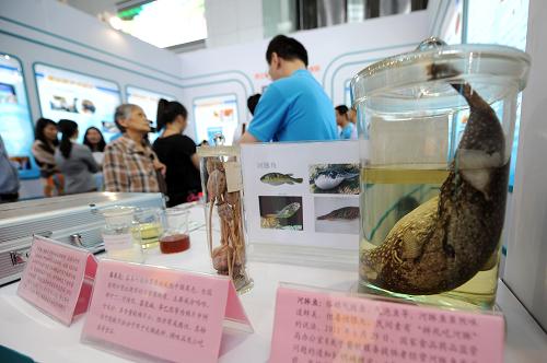 6月14日,市民在參觀展出的禁入餐桌的物品。 當(dāng)日,2013年浙江省食品安全知識(shí)展覽在杭州浙江省科技館開(kāi)幕。本次展覽以“誠(chéng)信做食品,理性看安全”為主題,設(shè)有食品安全監(jiān)管部門展區(qū)、企業(yè)展區(qū)等。為讓普通市民能夠了解到與食品安全相關(guān)的知識(shí),普及食品安全觀念,展覽還專門設(shè)立互動(dòng)活動(dòng),由專業(yè)人士為參觀者答疑解惑。 新華社記者 鞠煥宗 攝