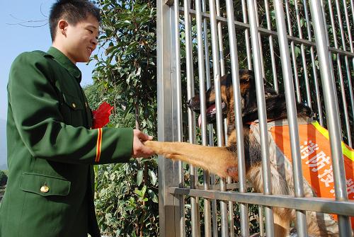 11月24日,趙功明和搜救犬“佳佳”告別。當日,蘇州消防支隊戰(zhàn)士趙功明告別警營,和與自己相處了七年的搜救犬“佳佳”依依惜別。趙功明曾與“佳佳”一起參加汶川大地震救援和08年雪災(zāi)救援等任務(wù)。