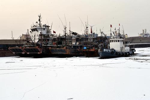 濰坊羊口東港的海冰(1月31日攝)。新華社記者 朱崢 攝
