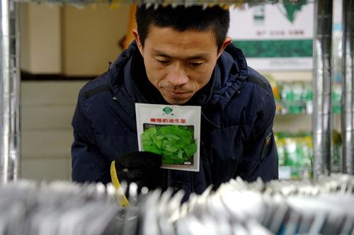 2月14日,農(nóng)民周智海在寧夏銀川西北農(nóng)資城內(nèi)選購生菜種子。新春伊始,天氣回暖,寧夏各市縣農(nóng)民紛紛開始選購糧食和蔬菜種子,開展春耕備耕工作。新華社記者 彭昭之 攝