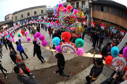 2月14日,村民們抬著板凳龍參加舞龍活動。臨近正月十五元宵節(jié),浙江省金華市浦江縣的各個村鎮(zhèn)開始迎接一年一度熱鬧精彩的板凳龍舞龍季節(jié)??钙鸢宓饰椠?,是當(dāng)?shù)剞r(nóng)家新年里的頭等大事。在浦江,起燈的時間是農(nóng)歷正月初十,一般每戶出一人一條板凳,村子越大,龍越長,舞龍的難度也越高,也最具觀賞性。各村各鎮(zhèn)色彩絢麗的板凳龍在節(jié)日里走街串巷,熱鬧起舞,預(yù)示著來年風(fēng)調(diào)雨順,家家戶戶快樂吉祥。據(jù)浦江縣志記載,自唐朝始,“龍騰燈舞鬧元宵”便成了浦江民間的習(xí)俗“燈節(jié)”。浦江板凳龍,又稱為長燈,由龍頭、龍身和龍尾三部分組成。一條龍從頭到尾,由幾十節(jié)、幾百節(jié)甚至上千節(jié)板凳串聯(lián)而成,陣形變化豐富,集書法、繪畫、剪紙、刻花、雕塑藝術(shù)和扎制編糊工藝為一體,游動時又融體育、雜技、舞蹈為一爐,不僅保留了我國尤其是浙中和江南沿海一帶的傳統(tǒng)民間文化,同時,又保留了書畫、剪紙等民間藝術(shù)的原生形態(tài)。2006年,浦江板凳龍被文化部列入首批國家級非物質(zhì)文化遺產(chǎn)。新華社記者 徐昱 攝