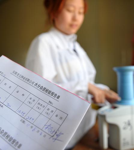 6月3日,在安徽農(nóng)墾龍亢農(nóng)場(chǎng)良種生產(chǎn)廠,工作人員對(duì)送來的麥子進(jìn)行質(zhì)量檢測(cè)。新華社記者 劉軍喜 攝