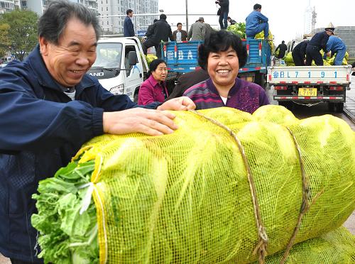 11月18日,山東省即墨市一對貧困家庭夫婦在搬運政府免費發(fā)放的大白菜。當(dāng)日,山東省即墨市經(jīng)濟開發(fā)區(qū)慈善分會將當(dāng)?shù)夭宿r(nóng)滯銷的25萬斤大白菜買下,免費送給轄區(qū)內(nèi)1660余戶貧困家庭,幫助了當(dāng)?shù)氐捅?、貧困殘疾人、孤寡老人等弱勢群體,同時也解決了菜農(nóng)賣菜問題。新華社發(fā)(寧友鵬 攝)