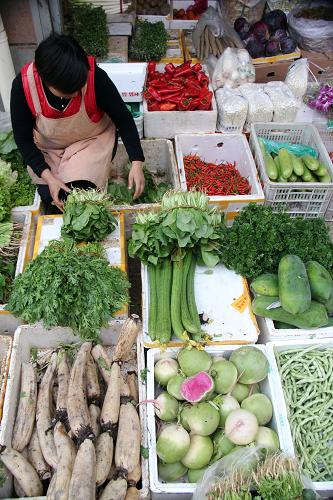 菜商在山東省臨沂市郯城縣一家農(nóng)貿(mào)市場整理蔬菜(11月9日攝)。新華社發(fā)(張春雷 攝)
