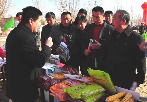 2月21日,內(nèi)蒙古巴彥淖爾市五原縣新公中鎮(zhèn)農(nóng)民在向科技人員(左一)咨詢高產(chǎn)玉米種植技術(shù)。