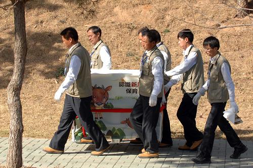 4月16日,臺(tái)灣同胞贈(zèng)送大陸的梅花鹿和長(zhǎng)鬃山羊抵達(dá)威海市劉公島森林公園后,工作人員將其送入新家并進(jìn)行隔離檢疫。新華社記者 郭緒雷 攝