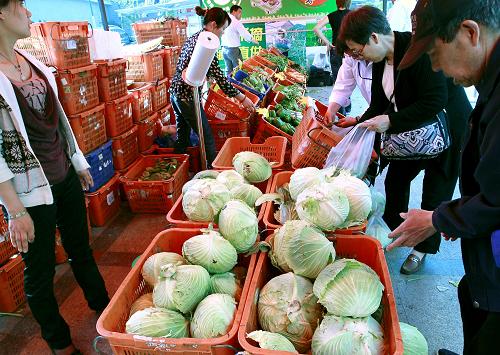4月28日,顧客在上海家樂福武寧店選購卷心菜。新華社記者 陳飛 攝