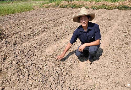 針對江西嚴重旱災 國家四級救災應急響應緊急啟動 5月29日,在江西德興市銀城鎮(zhèn)小吳園村,農(nóng)民面對干旱的田地束手無策。 針對江西省嚴重旱災,國家減災委、民政部于當日13時緊急啟動國家四級救災應急響應,派出工作組趕赴災區(qū),查看災情,協(xié)助開展救災工作。據(jù)江西省民政廳報告,截至5月29日12時統(tǒng)計,近期嚴重干旱災害已造成生活困難需政府救助人口111.8萬人。 新華社發(fā)(胡敦煌 攝)