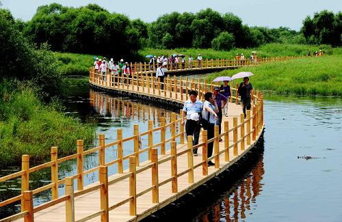 7月20日,游客在黑瞎子島濕地公園留影。新華社記者 王建威 攝