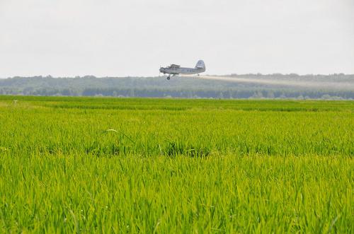 7月14日,黑龍江墾區(qū)建設(shè)農(nóng)場水稻管理區(qū)種植戶在用飛機(jī)為水稻噴施營養(yǎng)液。新華社發(fā)(周良君 攝)