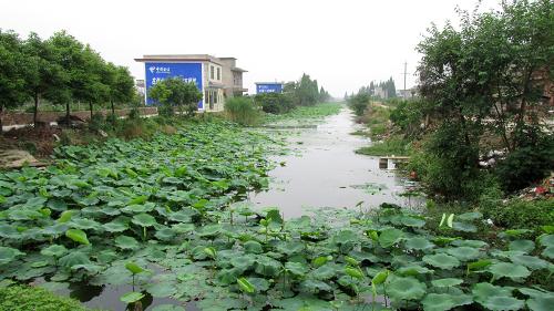 通過調水等綜合抗旱措施,湖南省南縣一些骨干渠道水位重新恢復起來(6月2日攝)。新華社記者 蘇曉洲 攝