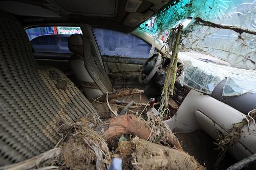 一輛被洪水浸沒過的車輛內(nèi)部充滿了樹枝等雜物(6月7日攝)。新華社記者 劉續(xù) 攝