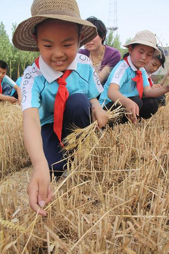 6月8日,河北省邯鄲市廣平縣明德小學(xué)學(xué)生在麥地里撿麥穗。眼下正值麥?zhǔn)掌陂g,河北省邯鄲市廣平縣教育系統(tǒng)開(kāi)展了“城里娃田間‘學(xué)農(nóng)事’”活動(dòng),組織城區(qū)學(xué)生利用勞動(dòng)課時(shí)間來(lái)到田間地頭學(xué)習(xí)收割小麥、撿麥穗,體驗(yàn)勞動(dòng)者的艱辛和快樂(lè)。新華社發(fā)(程學(xué)虎 攝)