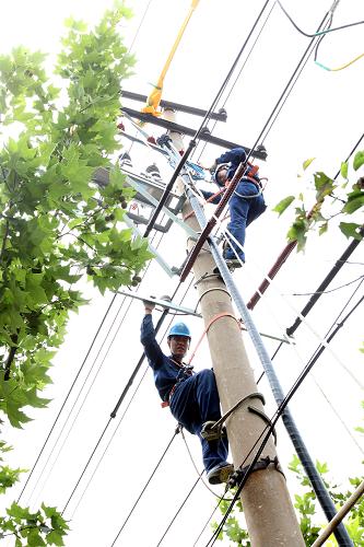 8月10日,國(guó)家電網(wǎng)安徽蚌埠供電公司技術(shù)人員在10千伏線路上帶電檢修電力設(shè)備。新華社發(fā)(牛路 攝)