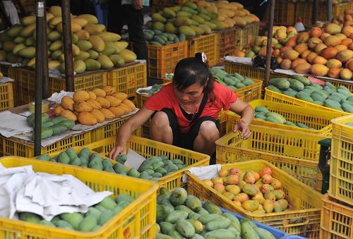 8月11日,一名女工在廣西田陽縣農(nóng)副產(chǎn)品綜合批發(fā)市場給芒果分類。進入8月份以來,廣西田陽芒果進入銷售旺季,市場異?;鸨?,批發(fā)價格持續(xù)走高。“中國芒果之鄉(xiāng)”廣西田陽縣芒果種植面積達13.5萬畝,僅萬畝連片芒果基地就有4個,成為農(nóng)民增收的主要支柱之一。近年來,田陽縣依托百色科技園區(qū)輻射帶動作用,積極推動芒果規(guī)模化種植和產(chǎn)業(yè)化經(jīng)營,先后從外地引進臺農(nóng)1號芒、金煌芒、凱特芒、愛文芒等芒果名優(yōu)新品種進行示范推廣,通過高接換種方式更換良種,不斷提高芒果品質(zhì),增強市場競爭力。新華社記者 周華 攝