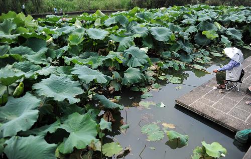 8月12日,和順古鎮(zhèn)內(nèi),老人怡然自得垂釣。新華社記者 秦晴 攝