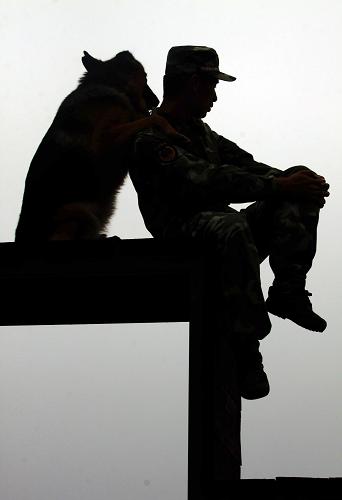 9月10日,警犬“陽(yáng)江”趴在訓(xùn)犬員張衛(wèi)東的肩膀上。第八屆全國(guó)殘疾人運(yùn)動(dòng)會(huì)即將在杭州舉辦,為圓滿完成安保任務(wù),武警浙江總隊(duì)直屬支隊(duì)特勤中隊(duì)訓(xùn)犬基地的戰(zhàn)士們中秋假期依舊和警犬一起進(jìn)行各項(xiàng)訓(xùn)練,與警犬相伴度中秋。新華社發(fā)(郭廣杰 攝)