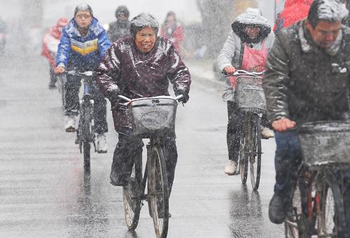 11月29日,市民冒著風(fēng)雪在石家莊街頭騎行。新華社發(fā)(鄭榮璽 攝)