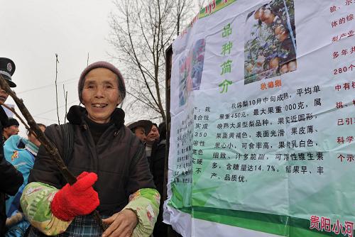 1月7日,村民領(lǐng)到由貴陽(yáng)市科協(xié)免費(fèi)發(fā)放的果樹(shù)苗。 當(dāng)日,貴州省文化、科技、衛(wèi)生“三下鄉(xiāng)”集中示范活動(dòng)在清鎮(zhèn)市犁倭鄉(xiāng)舉行。來(lái)自文化、科技、衛(wèi)生等方面的300余名專家和文藝工作者走進(jìn)基層,開(kāi)展文藝演出、免費(fèi)寫(xiě)春聯(lián)等活動(dòng),并向農(nóng)村群眾發(fā)放農(nóng)業(yè)、科技、政策宣傳資料和書(shū)籍,為當(dāng)?shù)厝罕娞崆八蜕?#8220;文化新年”。 新華社記者歐東衢攝